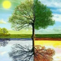 همفکری ومشاوره