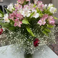 خط ثابت رند رند-بدون زنگ خور