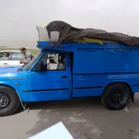 کود دهی ریتق کبوتر شیروانی و سوله|خدمات باغبانی و درختکاری|ازنا, |دیوار