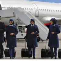 دعوت به همکاری مهماندار هواپیما