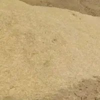 خریدارکاه نخود ولوبیا