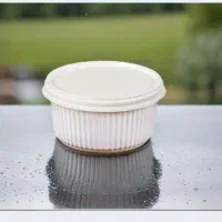 کاسه گیاهی ۳۰۰ و۴۰۰ گرمی فوم تک پرس