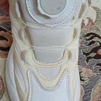 کتونی اسپرت|کیف، کفش، کمربند|باغستان, |دیوار