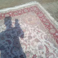 فرش دستباف گلریز ۳در۲|فرش|مشهد, پنجتن|دیوار
