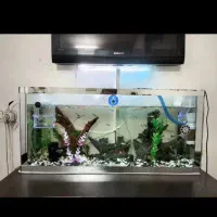 آکواریوم باتمام وسایل