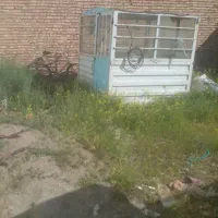 کانکس