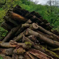 همسفر برای طبیعت|فعالیت داوطلبانه|رشت, چله خانه|دیوار