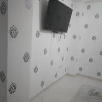 رنگ آمیزی نقاشی ساختمان|خدمات پیشه و مهارت|میناب, |دیوار