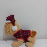 تعدادی عروسک|اسباب‌‌بازی|اندیشه, شهرک صدف|دیوار