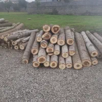خرید چوب صنوبر و....