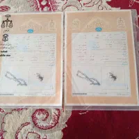 500-متر-زمین-کشاورزی-در-آبغد-جهت-معاوضه