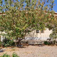 خانه ویلایی 400متری واقع درروستای بالقلو|فروش خانه و ویلا|نوبران, |دیوار