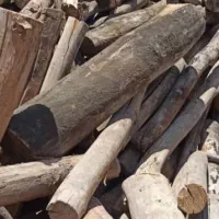 فروش چوب خشک برای بلال