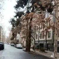 280متر-کلنگی-هفت-چنار-نوری-جوازدار