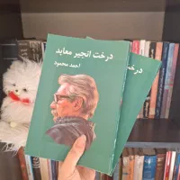 کتاب درخت انجیر معابد - دو جلدی- نوشته احمد محمود