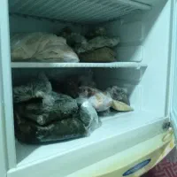 یخچال البرز|یخچال و فریزر|ایذه, |دیوار