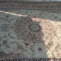 فرش ۱۲ متری|فرش|ساوه, |دیوار