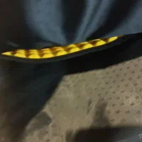 کوله پشتی|کیف، کفش، کمربند|ملارد, |دیوار