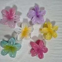 اکسسوری مو