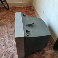 تلویزیون