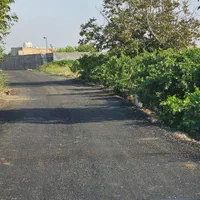 فروش زمین ۲۶۰ متری/باغچه.باغ/چهاردیواری|فروش زمین و ملک کلنگی|رباط‌کریم, پیغمبر|دیوار
