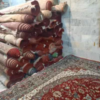 فرش مشهد لاکی وزرشکی ۱۲متری