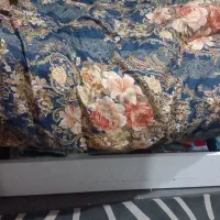 تخت دو طبقه تا سن نوجوانی|تخت و سرویس خواب|کرج, کوی کارمندان جنوبی|دیوار