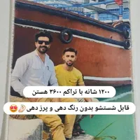 تابلوفرش چهره|تابلو فرش|بیرجند, |دیوار