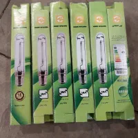 دنیای لامپ خیاری|لامپ و چراغ|پاکدشت, پاکدشت (مامازند)|دیوار