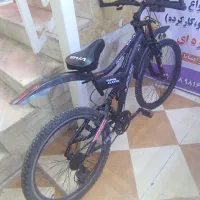 دوچرخه دنده ای حرفه ای در حد