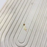 پلاک مادر طلا|جواهرات|کرج, برغان|دیوار