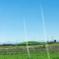 علف تراشی با دستگاه از نوشهرتا سیسنگان ونوش چالوس