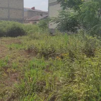 فروش فوری/زمین مسکونی/شهررشت/موقعیت عا،لی|فروش زمین و ملک کلنگی|رشت, فرزانه|دیوار