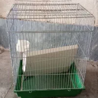 قفس پرنده