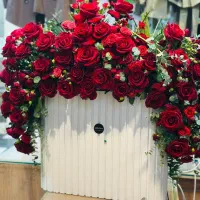 فقط باکس فروشیه.باکس بلندصورتی وباکس سفید|گل و گیاه طبیعی|رشت, باهنر|دیوار