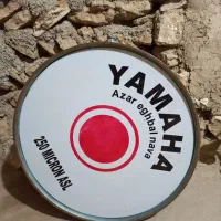 سالمه فقط ۱۰ روز زده ایم