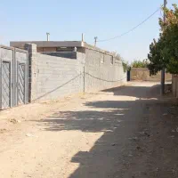 باغ-تمام-امتیازات-فردوسی-شاهنامه-69-ماریان-نجم-زاک