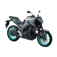 موتور یاماها ژاپن YAMAYA MT25