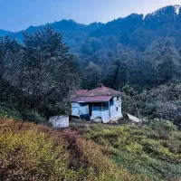 1600مترخانه محوطه سنتی پلاک 1 جنگل در دل بهشت|فروش خانه و ویلا|فومن, |دیوار