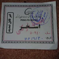 بلیط استخر حجاب ماهشهر