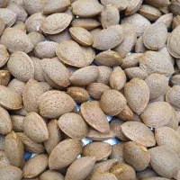 بادام درختی درجه ۱