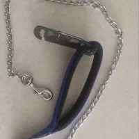 قلاده و شونه سگ