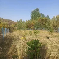 باغ فریدونشهر اصفهان|فروش دفتر صنعتی، کشاورزی، تجاری|فریدونشهر, |دیوار