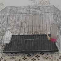 قفس پرنده