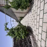 ویلا دوبلکس استخر آبگرم|اجارهٔ کوتاه‌مدت ویلا و باغ|پاکدشت, پاکدشت (مامازند)|دیوار