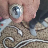 انگشتردست ساز شجر قائنات