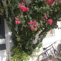 ویلایی ۴۰۰ متر دربست مناسب مدرسه آموزشگاه