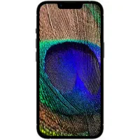 iphone 13 pro max|موبایل|قشم, |دیوار