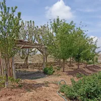 زمین-فروشی