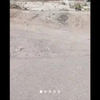 زمین کشاورزی شهرستان فیروزه